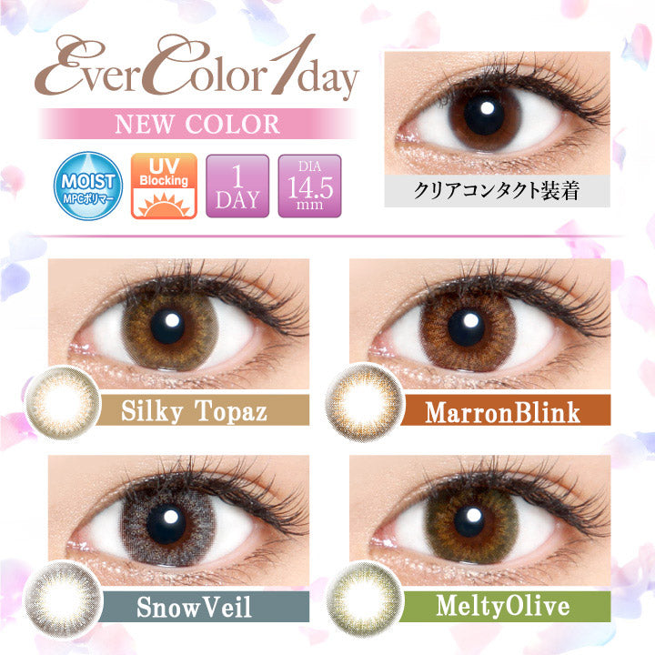 Ever Color 1 Day【八色可选】【10片装】【日抛】【日本美瞳】