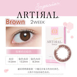 ARTIRAL 素颜美人 Superior 2week 小直径自然素颜【三色可选】【6片装】【双周抛】【日本美瞳】