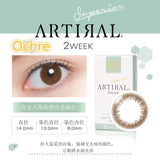 ARTIRAL 素颜美人 Superior 2week 小直径自然素颜【三色可选】【6片装】【双周抛】【日本美瞳】